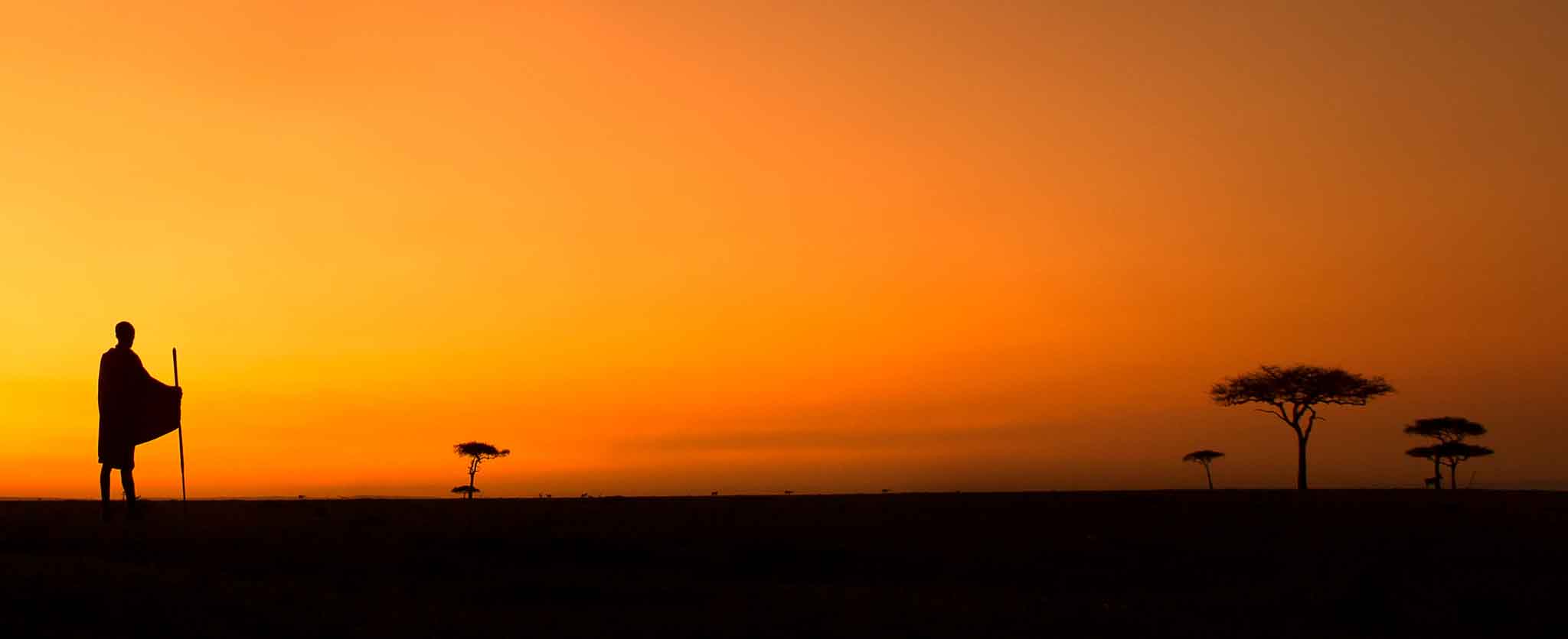 Honeymoon africa safari holiday — private game drive