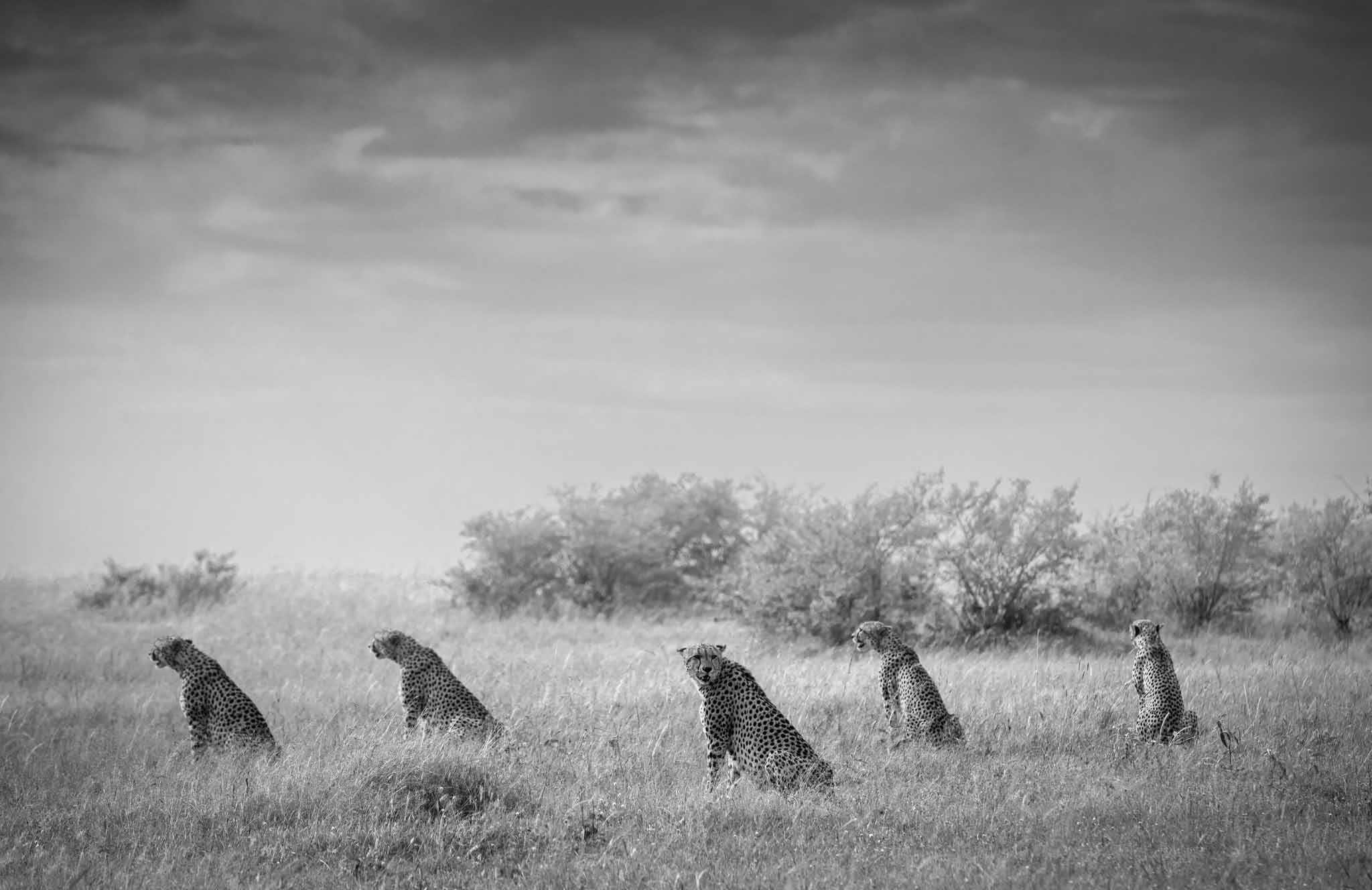 Luxury family camp — safari holidays to Tanzania, African Favour
