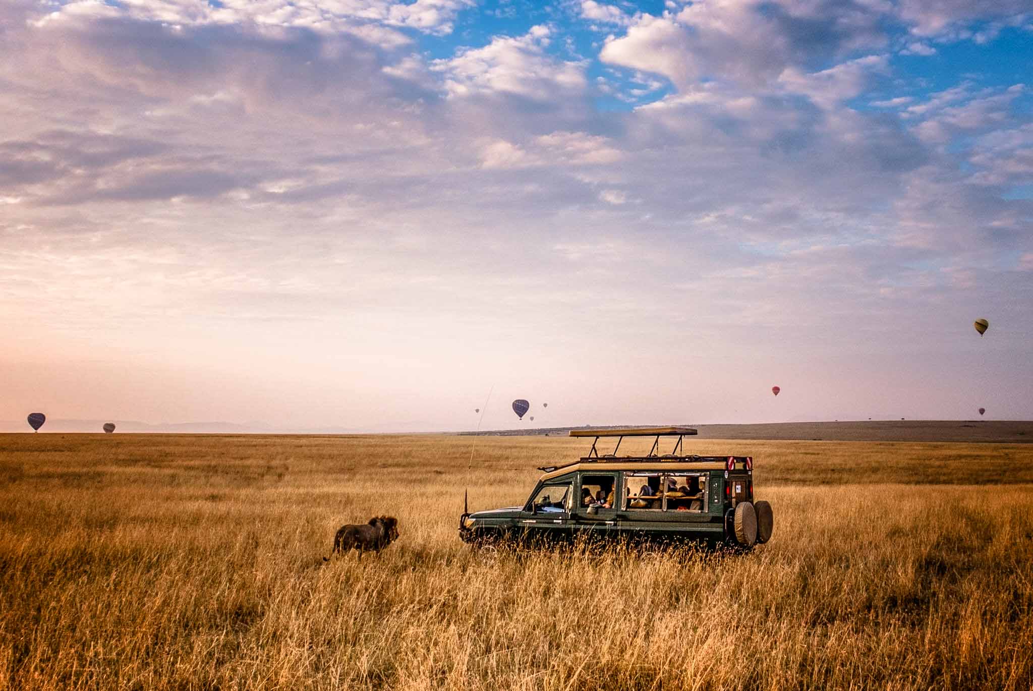 Serengeti landscape — africa safari holidays, wildebeest migration